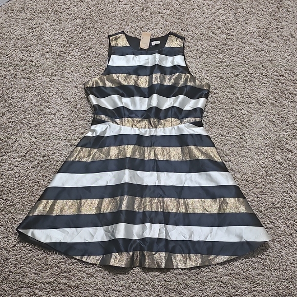 Daniel Cremieux Dresses & Skirts - NWT Cremieux Cocktail Dress Striped Bronze Glitter Sleeveless Fit & Flare 12
